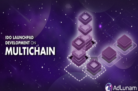 IDO Launchpad Development On Multichain