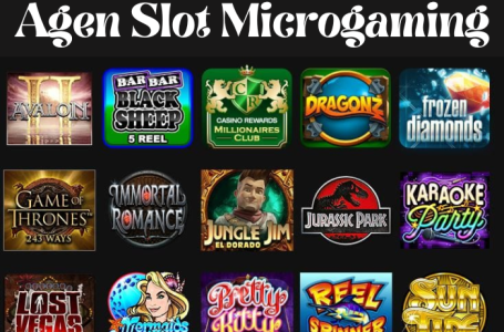 Agen Slot Micro Gaming